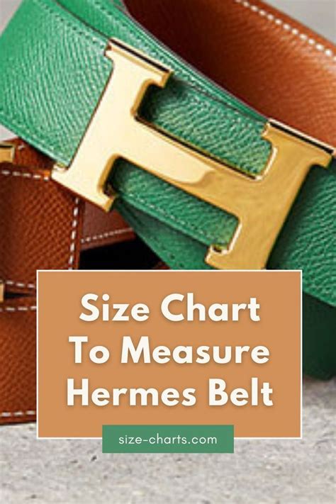 designer belt size chart